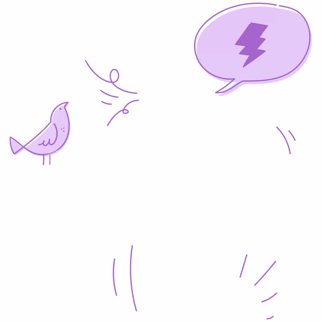 chat, talk, conversation, lightening, animal, bird